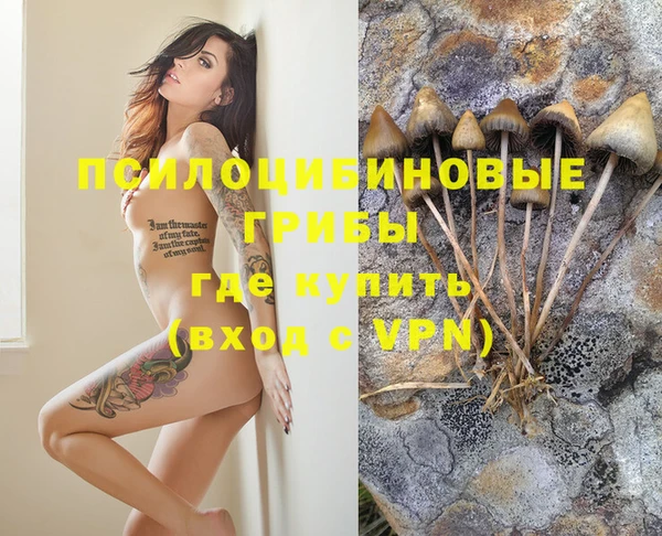 марихуана Медногорск