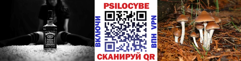 ОМГ ОМГ ссылки купить наркотик Никольск Галлюциногенные грибы мухоморы